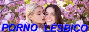 Seu Site Novo